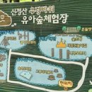계남 유아숲체험원 이미지