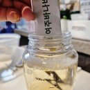 식후 혈당 관리엔? 카페인 없는 건강한 물 대용차! 트루티 여주바나바잎차 솔직 후기