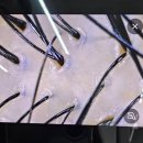 [경기 파주] 운정역 미용실 유로소헤어 운정역점 두피케어 후기