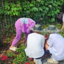 영생지역아동센터 이미지