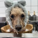 홀리몰리살롱 이미지