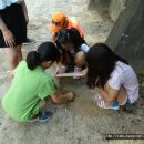 현도초등학교 이미지