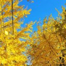 의동마을 이미지