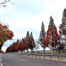 익산대로 이미지