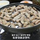 등용 짚불곰장어 이미지