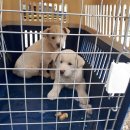 회학3길 이미지