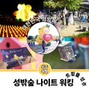 성밖숲 관광안내소 | 성주 대한민국 밤밤페스타 성밖숲 나이트 워킹