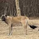 시민공원 남문 인근-1 이미지