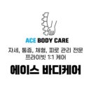 에이스바디