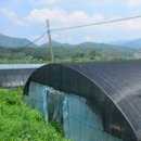 주암면사무소 이미지