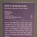 서울역사박물관 기획전시실A [태평계태평=태평성대로 기억된 18세기 서울] 이미지