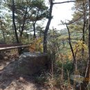 용봉초교 - 좌 이미지