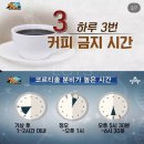 알키미스타