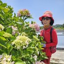 증도 관광안내소 이미지