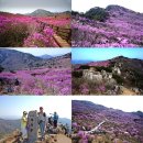 여장군PC | 비슬산 ....쓸쓸한 가을 산행 (100대 명산 비슬산 등산지도)