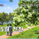 (주) 생거진천 고기세상 | 진천가볼만한곳 진천이팝나무길 실시간
