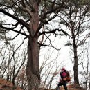 양지마을4로 이미지