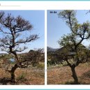 삼보농장 이미지