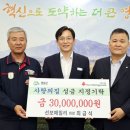 선보