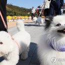 열린투어 연합뉴스