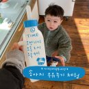 송아목장 | 아이랑 제주동쪽여행 (무료) 송아지 우유주기 체험