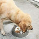 하일동물병원 이미지