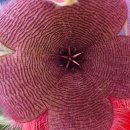 연월농장 이미지