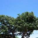 진주 두문리 이정표석 이미지