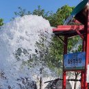 힐링애견 이미지