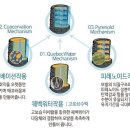 유명한 카클리닉 이미지