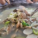 최씨네칼국수