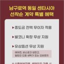동일 이미지