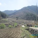 산지골민박 이미지