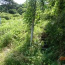 현촌2로 이미지