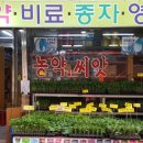 포항농약종묘사 이미지