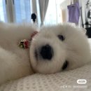 조은사람 이미지