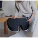 자주고름 이미지