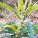 나무민박 이미지