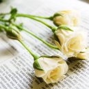 마음엔뜰 이미지