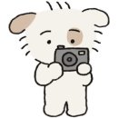 둥둥펫살롱 이미지