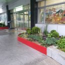 서구청 본관 이미지