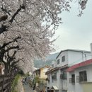 주례초등학교 이미지