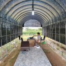 유재하농장 이미지