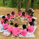 가톨릭소화어린이집 이미지