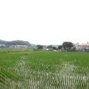 동막동(3) 이미지