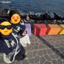 코어피트니스 우정점 | 신비의 섬 제주 방문을 환영합니다