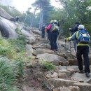 공룡발톱 - 문경시 상신로 7 | 공룡발톱