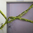 9월 모텔 이미지