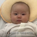 태하