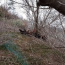 쟁골농장 이미지